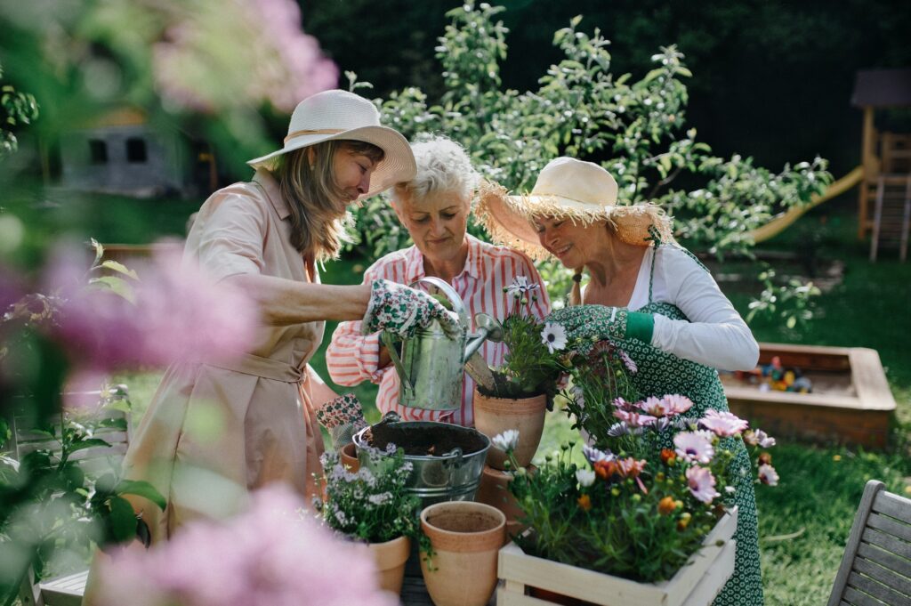 Happy senior women friends planting flowers together outdoors, community garden concept